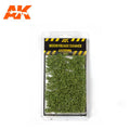 AK 8145 Beech Foliage Summer