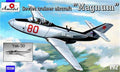 Soviet Trainer Aircraft Yak-30 "Magnum"