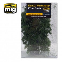 Amig 8381 Fine Bush Early Summer