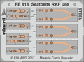 Eduard Seatbelts RAF Late Steel 1/48