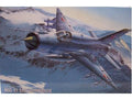 MiG-21 SMT Humpback