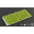 Gamersgrass 12mm XL Wild Tufts Jungle