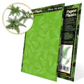 GSW 10367 Paper Plants Bracken Fern