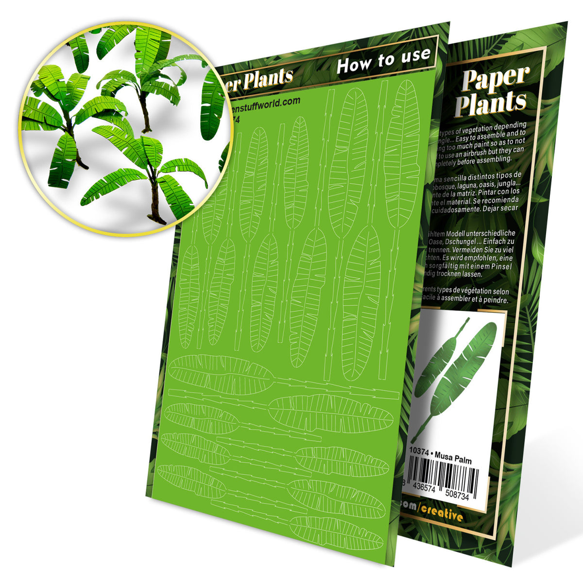 GSW 10374 Paper Plants Musa Palm
