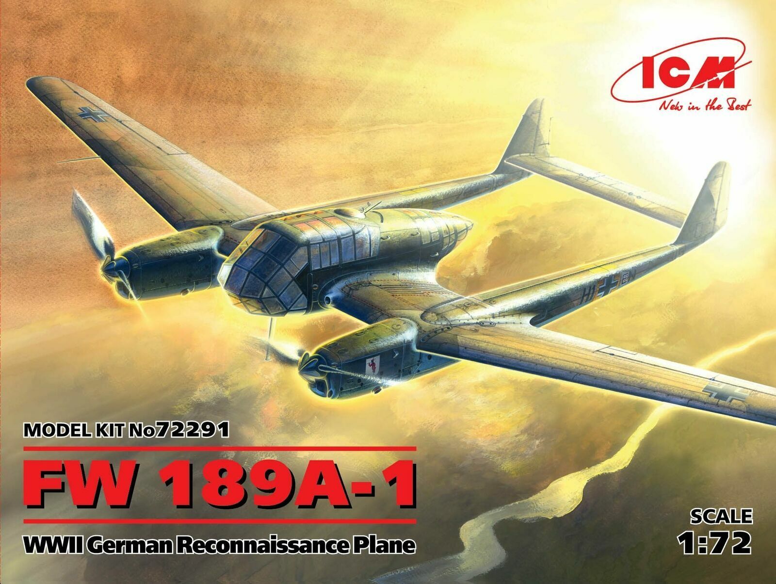 FW 189A-1 WWII German Reconnaissance Plane