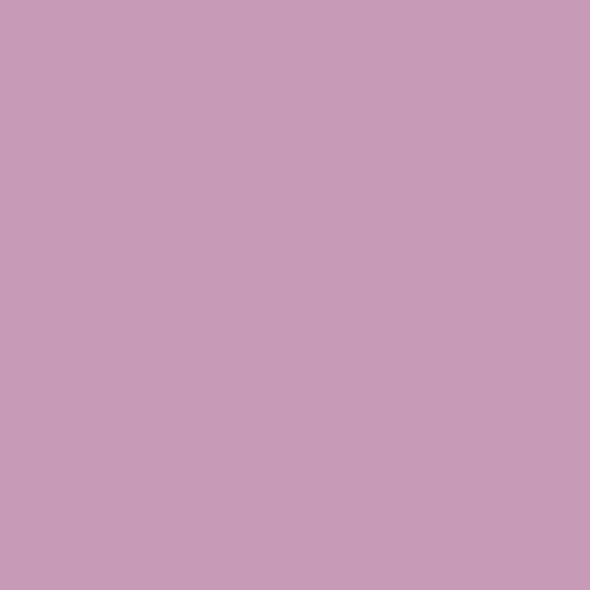 Mission Models MMP-137 Lilac CY (1966)