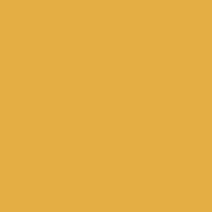 Mission Models MMP-125 New Construction Yellow (1990 to present)