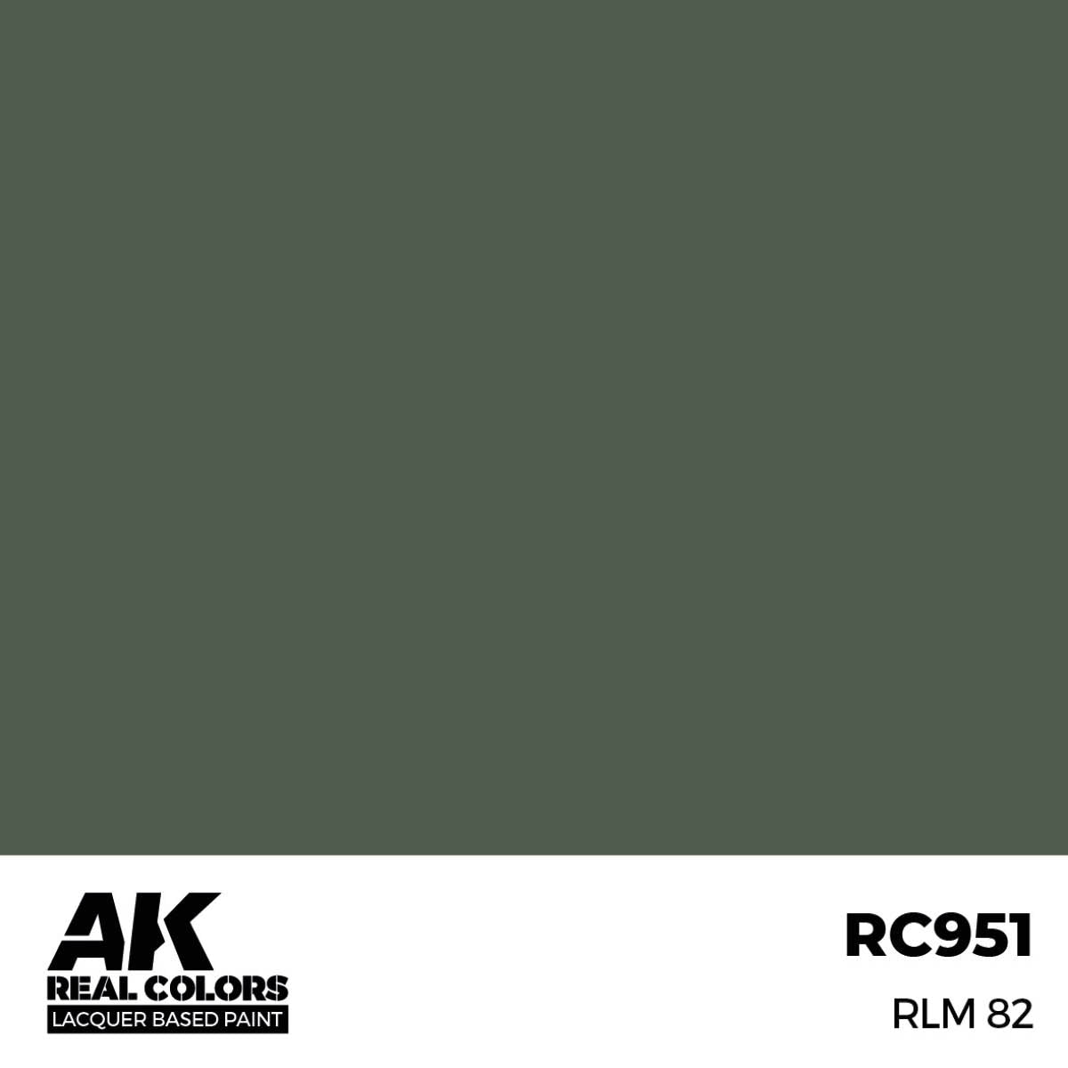 AK RC951 RLM82
