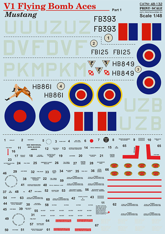 48-132 P-51 Mustang V1 Flying Bomb Aces Part 1 Wet