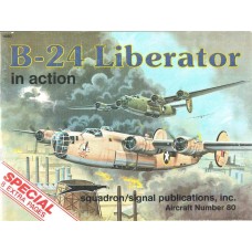 B-24 Liberator in Action B-24 Liberator in Action