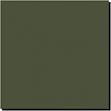 Mission Models MMP-028 Russian Dark Olive FS 34102